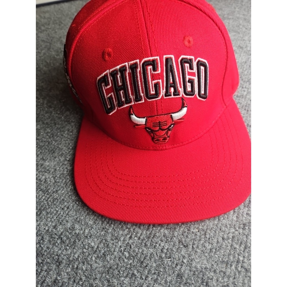 Chicago Bulls‎ Pro Standard Snapback Hat City Flag 6x  NBA Champions